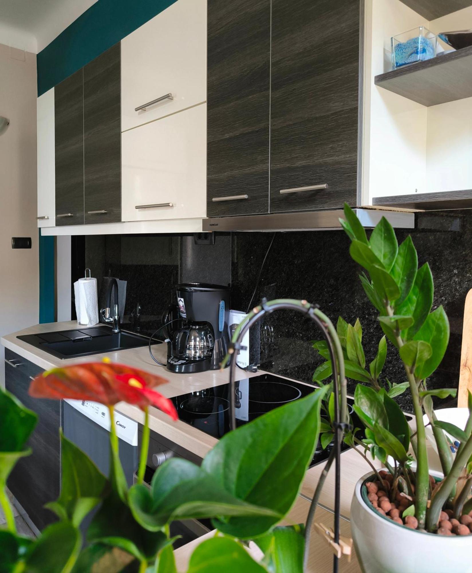 Urban Villa Apartment 奥帕提亚 外观 照片